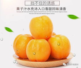 赞美杏子熟的优美句子 形容杏子果实成熟的句